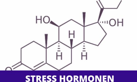 Verlagen van Cortisol – stresshormoon