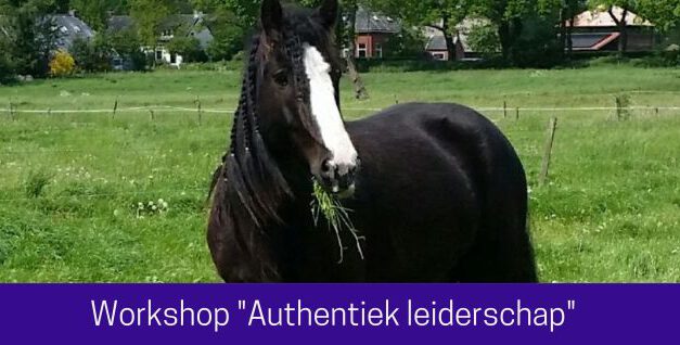Workshop “Authentiek leiderschap”, vrijdag 17 juni 2022