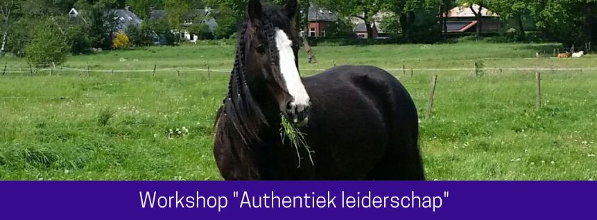 Workshop “Authentiek leiderschap”, vrijdag 17 juni 2022