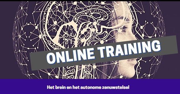 Online training “Het menselijk brein en het autonome zenuwstelsel”