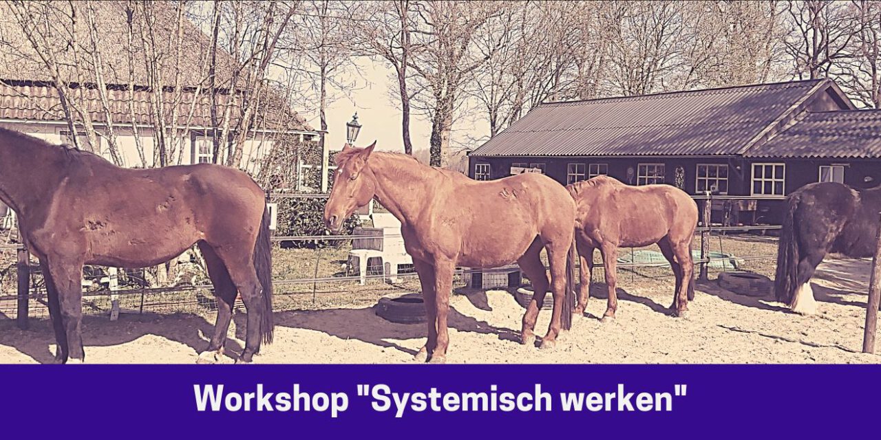 Workshop “Systemisch werken”, vrijdag 20 mei 2022