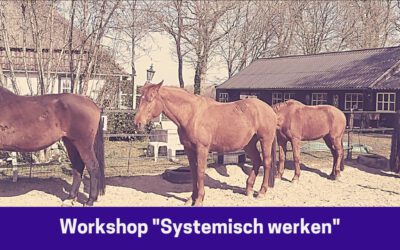 Workshop “Systemisch werken”, vrijdag 20 mei 2022