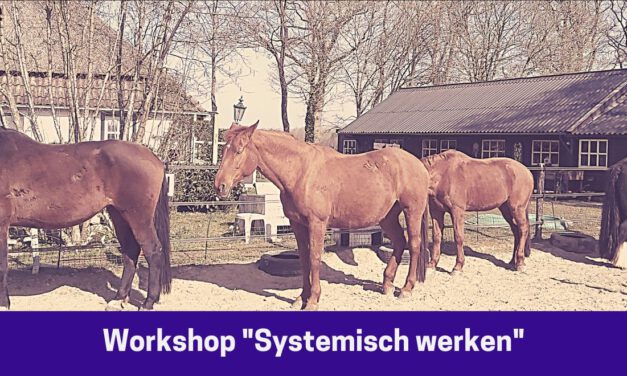 Workshop “Kracht van het (familie)systeem”, woensdag 19 oktober 2022