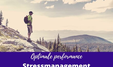 Optimale performance: Stressmanagement voor leiders & professionals